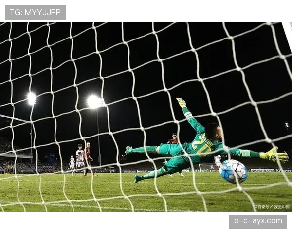 尼斯比赛节奏掌控出色，攻防效率与战术策略实现完美平衡