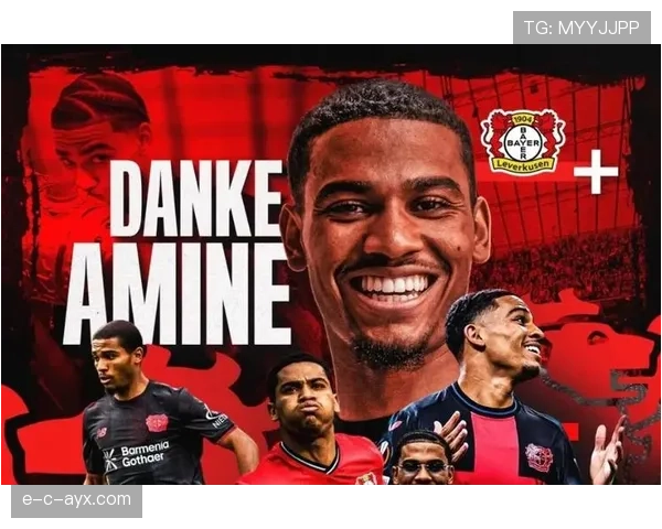 德甲各队引援计划