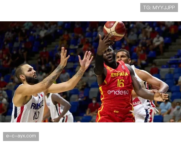 塔雷米比赛影响力持续提升,进攻端表现稳健 塔雷米比赛影响力持续提升,进攻端表现稳健